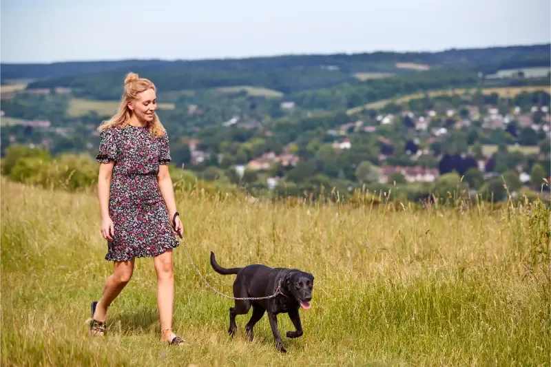 woman exercising pet labrador dog on leash in summ 2024 10 19 08 43 55 utc